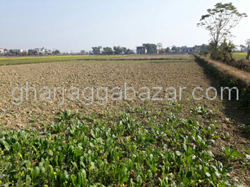 Urgent Land to Sell at Mohada